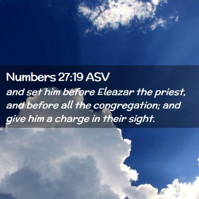 Picture 02 - Numbers 27:19 ASV - and set him before Eleazar the priest, and before - Bible Verse Picture