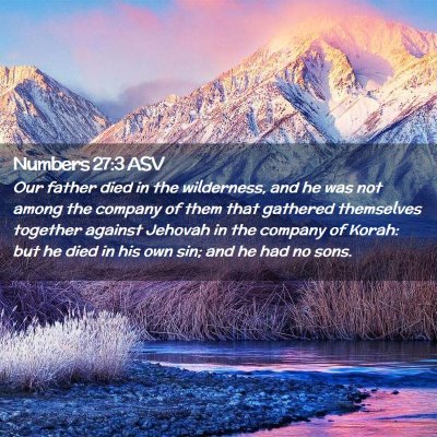 Picture 02 - Numbers 27:3 ASV - Our father died in the wilderness, and he was not - Bible Verse Picture