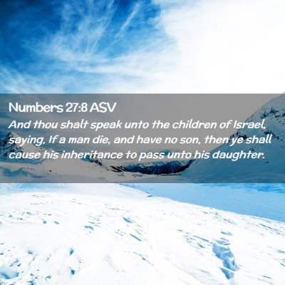 Picture 02 - Numbers 27:8 ASV - And thou shalt speak unto the children of Israel, - Bible Verse Picture