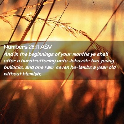 Picture 02 - Numbers 28:11 ASV - And in the beginnings of your months ye shall - Bible Verse Picture