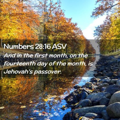 Picture 02 - Numbers 28:16 ASV - And in the first month, on the fourteenth day of - Bible Verse Picture