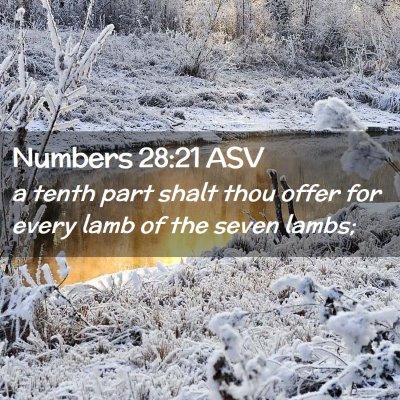 Picture 02 - Numbers 28:21 ASV - a tenth part shalt thou offer for every lamb of - Bible Verse Picture