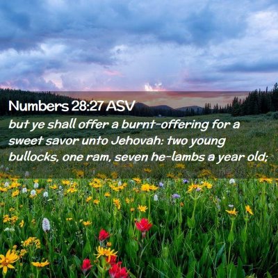 Picture 02 - Numbers 28:27 ASV - but ye shall offer a burnt-offering for a sweet - Bible Verse Picture
