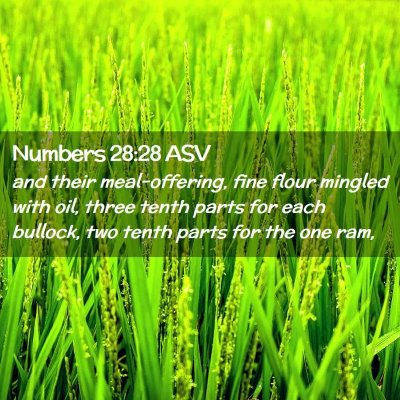 Picture 02 - Numbers 28:28 ASV - and their meal-offering, fine flour mingled with - Bible Verse Picture