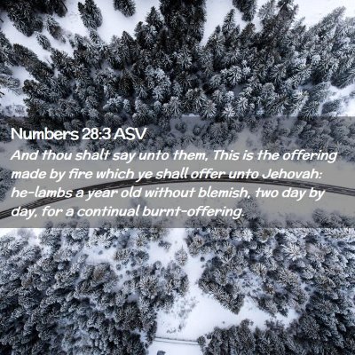 Picture 02 - Numbers 28:3 ASV - And thou shalt say unto them, This is the - Bible Verse Picture