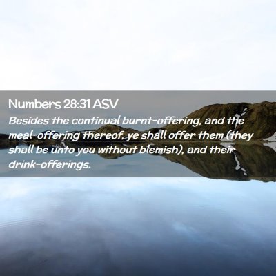 Picture 02 - Numbers 28:31 ASV - Besides the continual burnt-offering, and the - Bible Verse Picture
