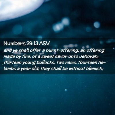 Picture 02 - Numbers 29:13 ASV - and ye shall offer a burnt-offering, an offering - Bible Verse Picture