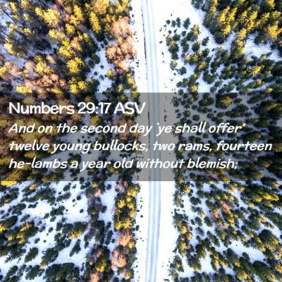 Picture 02 - Numbers 29:17 ASV - And on the second day `ye shall offer' twelve - Bible Verse Picture