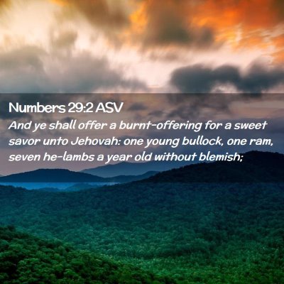 Picture 02 - Numbers 29:2 ASV - And ye shall offer a burnt-offering for a sweet - Bible Verse Picture