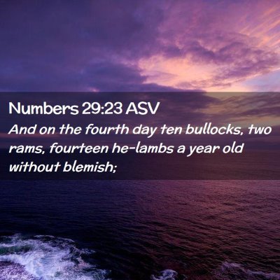 Picture 02 - Numbers 29:23 ASV - And on the fourth day ten bullocks, two rams, - Bible Verse Picture