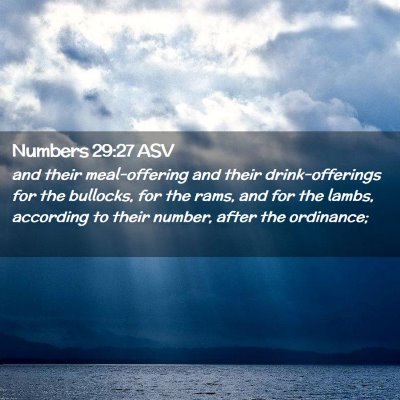 Picture 02 - Numbers 29:27 ASV - and their meal-offering and their drink-offerings - Bible Verse Picture