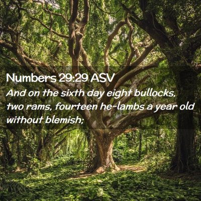 Picture 02 - Numbers 29:29 ASV - And on the sixth day eight bullocks, two rams, - Bible Verse Picture