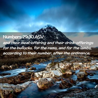 Picture 02 - Numbers 29:30 ASV - and their meal-offering and their drink-offerings - Bible Verse Picture
