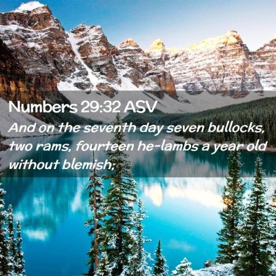 Picture 02 - Numbers 29:32 ASV - And on the seventh day seven bullocks, two rams, - Bible Verse Picture
