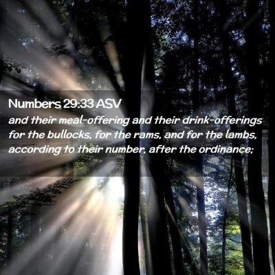 Picture 02 - Numbers 29:33 ASV - and their meal-offering and their drink-offerings - Bible Verse Picture