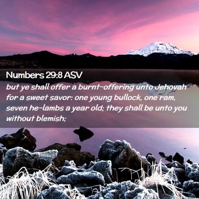 Picture 02 - Numbers 29:8 ASV - but ye shall offer a burnt-offering unto Jehovah - Bible Verse Picture