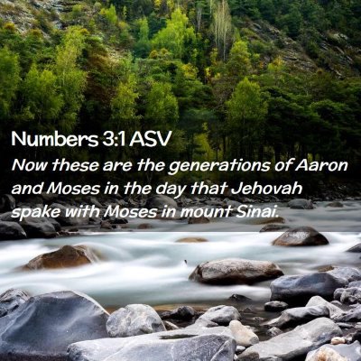 Picture 02 - Numbers 3:1 ASV - Now these are the generations of Aaron and Moses - Bible Verse Picture