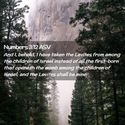 Picture 02 - Numbers 3:12 ASV - And I, behold, I have taken the Levites from - Bible Verse Picture