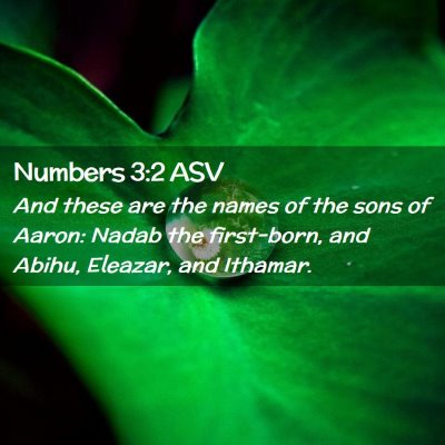 Picture 02 - Numbers 3:2 ASV - And these are the names of the sons of Aaron: - Bible Verse Picture