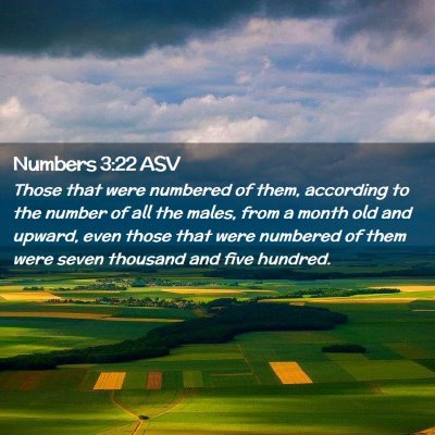 Picture 02 - Numbers 3:22 ASV - Those that were numbered of them, according to - Bible Verse Picture