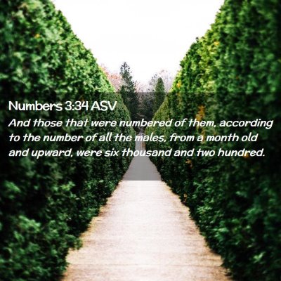Picture 02 - Numbers 3:34 ASV - And those that were numbered of them, according - Bible Verse Picture