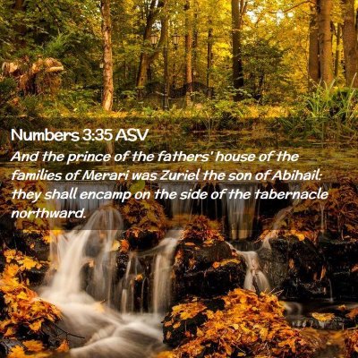 Picture 02 - Numbers 3:35 ASV - And the prince of the fathers' house of the - Bible Verse Picture