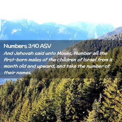 Picture 02 - Numbers 3:40 ASV - And Jehovah said unto Moses, Number all the - Bible Verse Picture