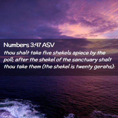 Picture 02 - Numbers 3:47 ASV - thou shalt take five shekels apiece by the poll; - Bible Verse Picture
