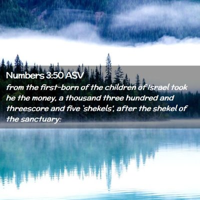 Picture 02 - Numbers 3:50 ASV - from the first-born of the children of Israel - Bible Verse Picture