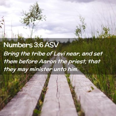 Picture 02 - Numbers 3:6 ASV - Bring the tribe of Levi near, and set them before - Bible Verse Picture