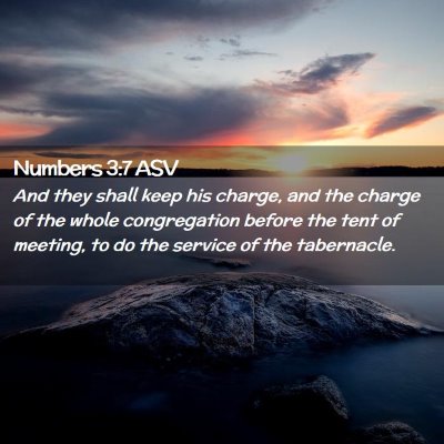 Picture 02 - Numbers 3:7 ASV - And they shall keep his charge, and the charge of - Bible Verse Picture