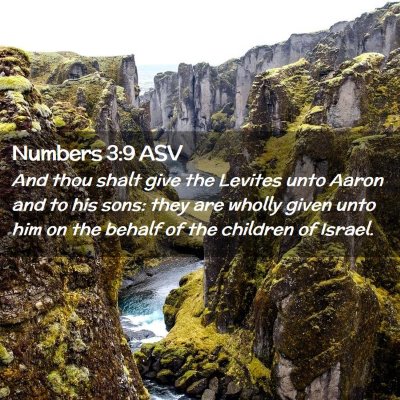 Picture 02 - Numbers 3:9 ASV - And thou shalt give the Levites unto Aaron and to - Bible Verse Picture