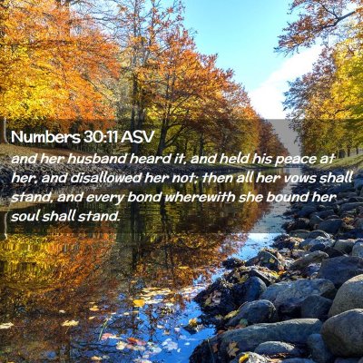 Picture 02 - Numbers 30:11 ASV - and her husband heard it, and held his peace at - Bible Verse Picture