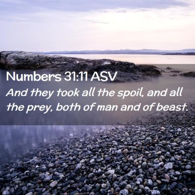 Picture 02 - Numbers 31:11 ASV - And they took all the spoil, and all the prey, - Bible Verse Picture