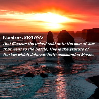 Picture 02 - Numbers 31:21 ASV - And Eleazar the priest said unto the men of war - Bible Verse Picture