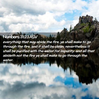 Picture 02 - Numbers 31:23 ASV - everything that may abide the fire, ye shall make - Bible Verse Picture