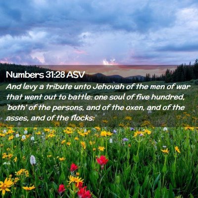 Picture 02 - Numbers 31:28 ASV - And levy a tribute unto Jehovah of the men of war - Bible Verse Picture