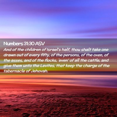 Picture 02 - Numbers 31:30 ASV - And of the children of Israel's half, thou shalt - Bible Verse Picture