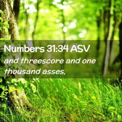 Picture 02 - Numbers 31:34 ASV - and threescore and one thousand - Bible Verse Picture
