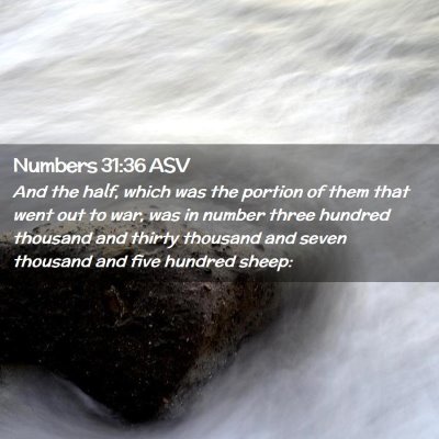Picture 02 - Numbers 31:36 ASV - And the half, which was the portion of them that - Bible Verse Picture