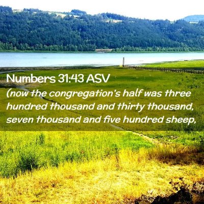 Picture 02 - Numbers 31:43 ASV - (now the congregation's half was three hundred - Bible Verse Picture