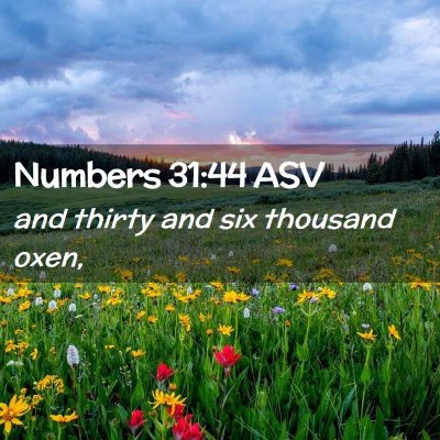 Picture 02 - Numbers 31:44 ASV - and thirty and six thousand - Bible Verse Picture