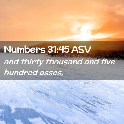 Picture 02 - Numbers 31:45 ASV - and thirty thousand and five hundred - Bible Verse Picture
