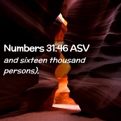 Picture 02 - Numbers 31:46 ASV - and sixteen thousand - Bible Verse Picture