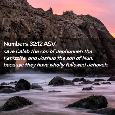Picture 02 - Numbers 32:12 ASV - save Caleb the son of Jephunneh the Kenizzite, - Bible Verse Picture