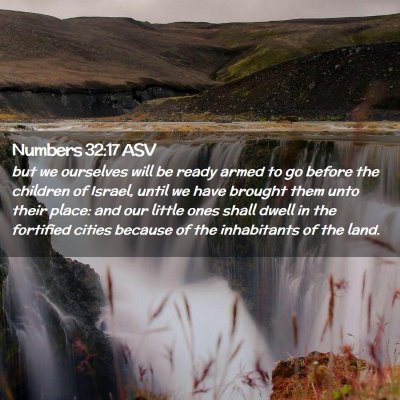 Picture 02 - Numbers 32:17 ASV - but we ourselves will be ready armed to go before - Bible Verse Picture