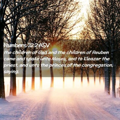 Picture 02 - Numbers 32:2 ASV - the children of Gad and the children of Reuben - Bible Verse Picture