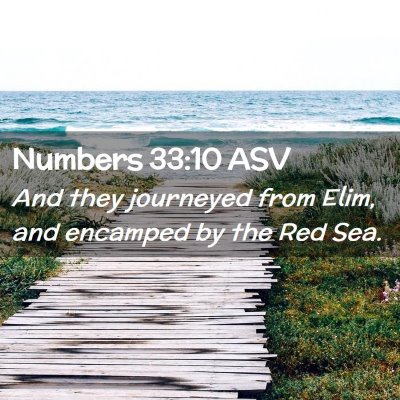 Picture 02 - Numbers 33:10 ASV - And they journeyed from Elim, and encamped by the - Bible Verse Picture