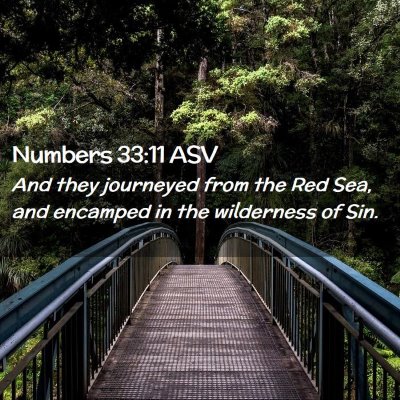 Picture 02 - Numbers 33:11 ASV - And they journeyed from the Red Sea, and encamped - Bible Verse Picture