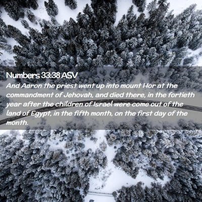 Picture 02 - Numbers 33:38 ASV - And Aaron the priest went up into mount Hor at - Bible Verse Picture